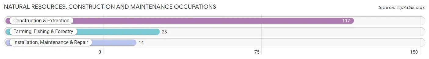 Natural Resources, Construction and Maintenance Occupations in Woodville