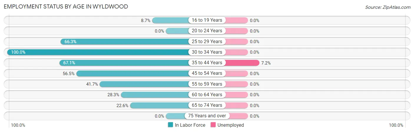 Employment Status by Age in Wyldwood