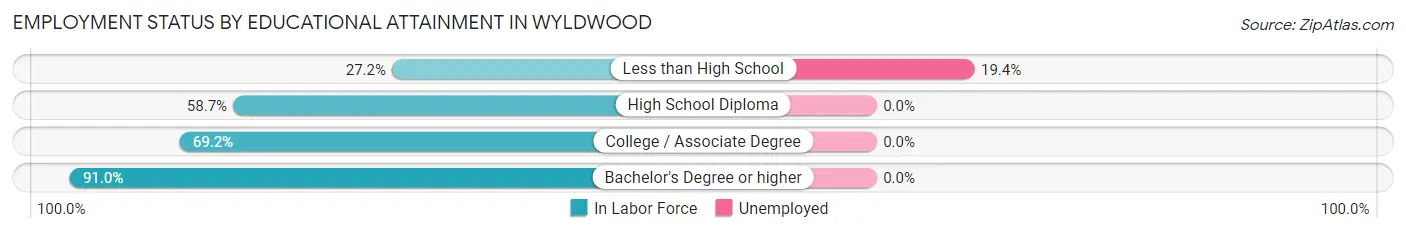 Employment Status by Educational Attainment in Wyldwood