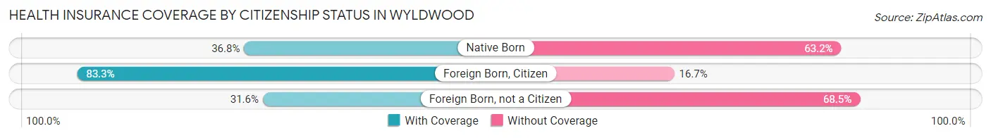Health Insurance Coverage by Citizenship Status in Wyldwood