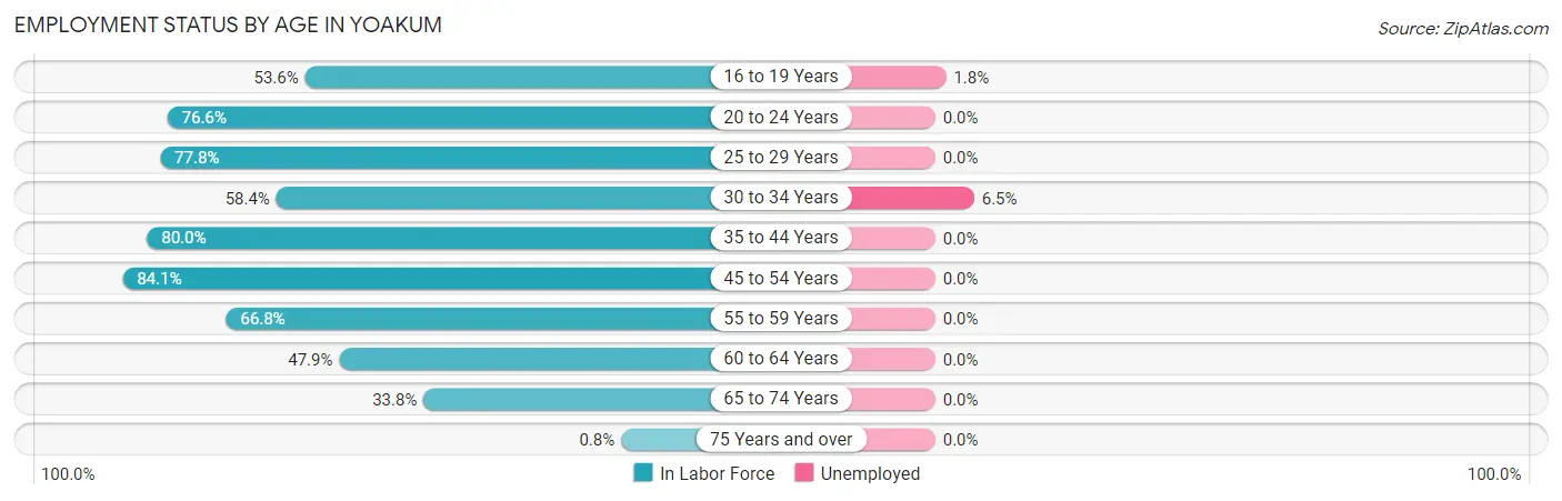 Employment Status by Age in Yoakum