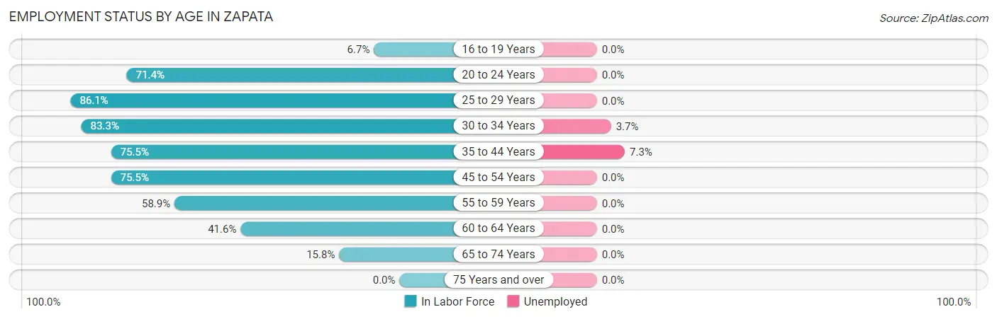 Employment Status by Age in Zapata
