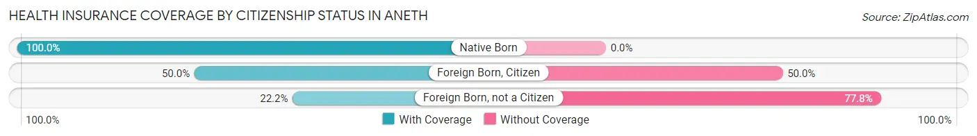 Health Insurance Coverage by Citizenship Status in Aneth