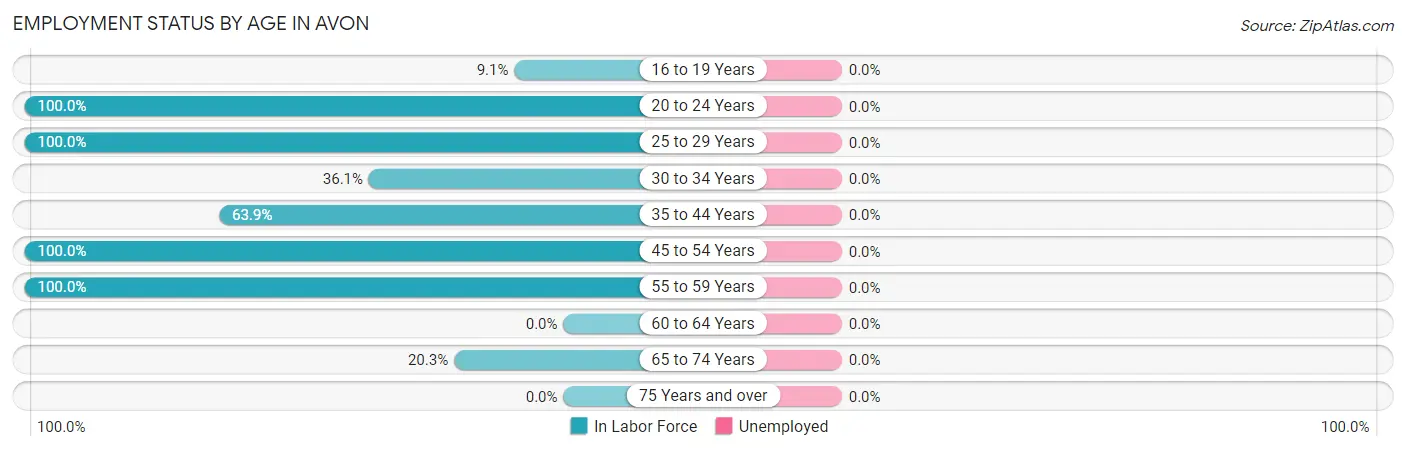 Employment Status by Age in Avon
