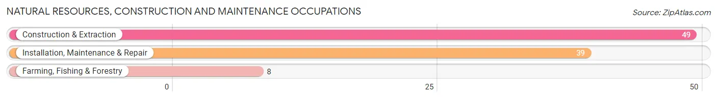 Natural Resources, Construction and Maintenance Occupations in Ballard