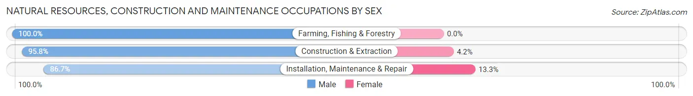 Natural Resources, Construction and Maintenance Occupations by Sex in Bear River City