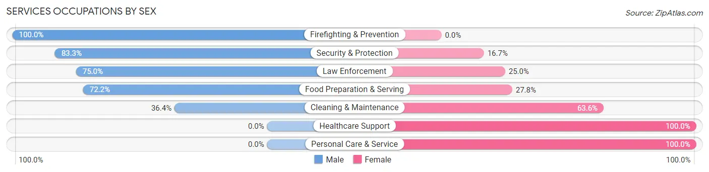 Services Occupations by Sex in Bear River City