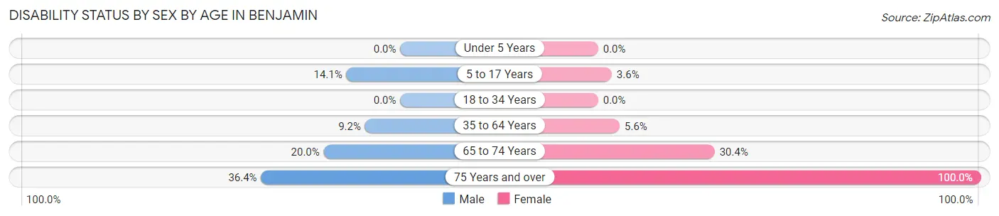 Disability Status by Sex by Age in Benjamin