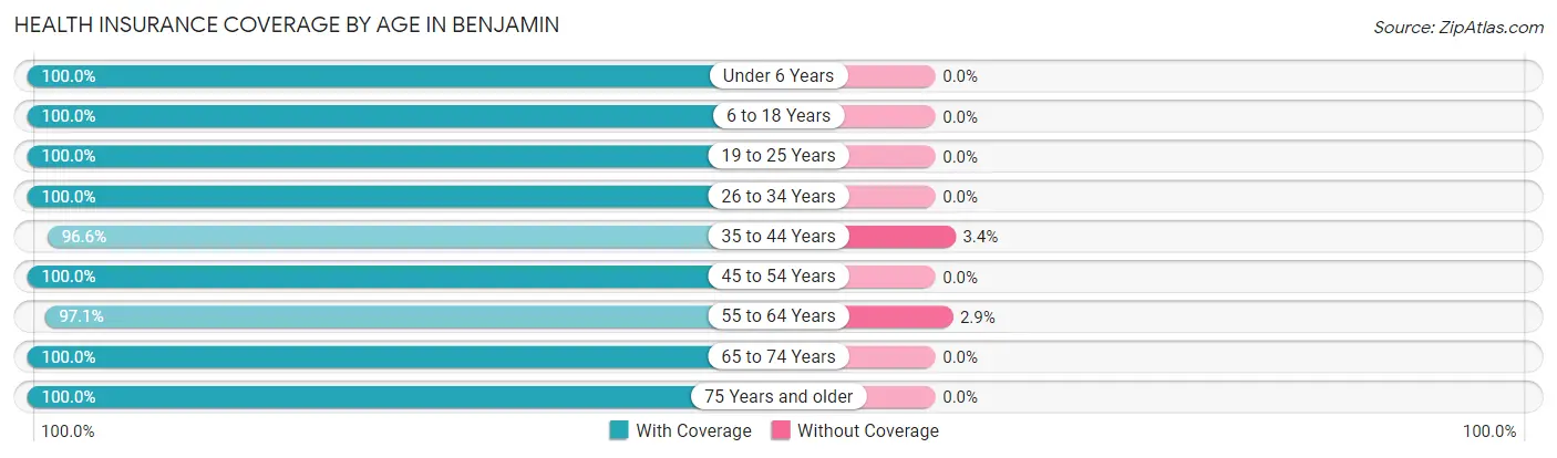 Health Insurance Coverage by Age in Benjamin