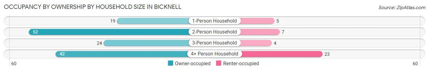 Occupancy by Ownership by Household Size in Bicknell