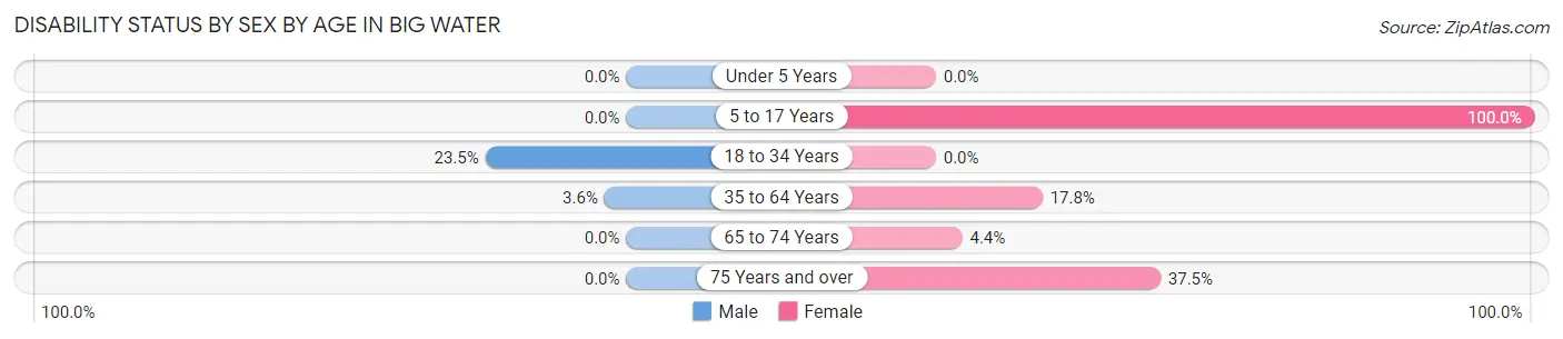 Disability Status by Sex by Age in Big Water