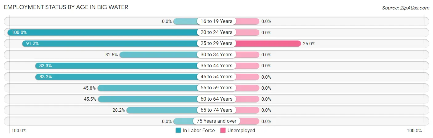 Employment Status by Age in Big Water