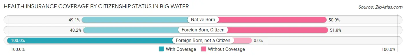 Health Insurance Coverage by Citizenship Status in Big Water