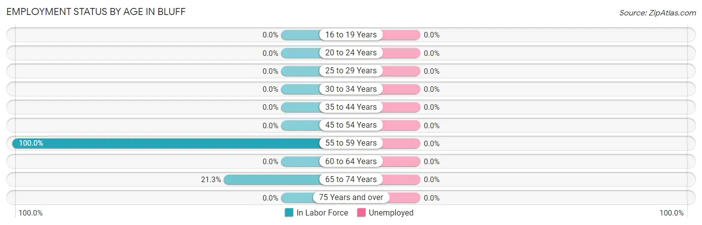 Employment Status by Age in Bluff