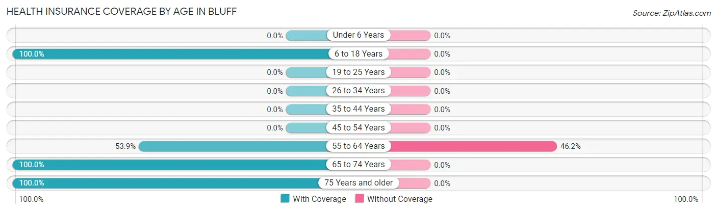 Health Insurance Coverage by Age in Bluff