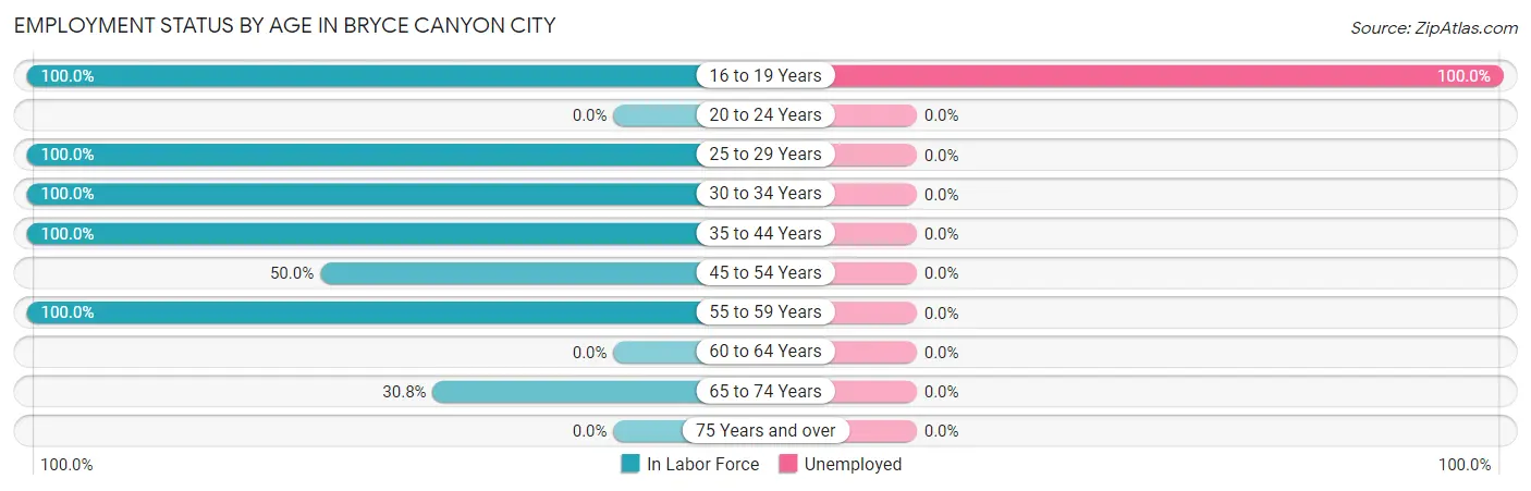 Employment Status by Age in Bryce Canyon City