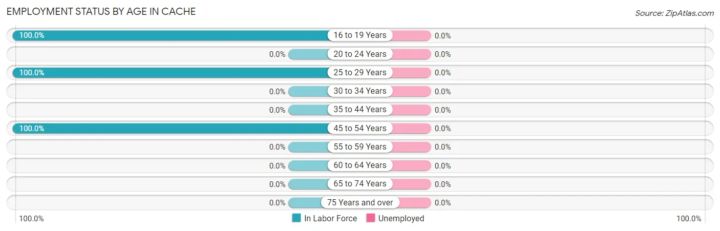 Employment Status by Age in Cache