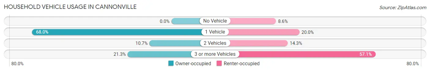 Household Vehicle Usage in Cannonville