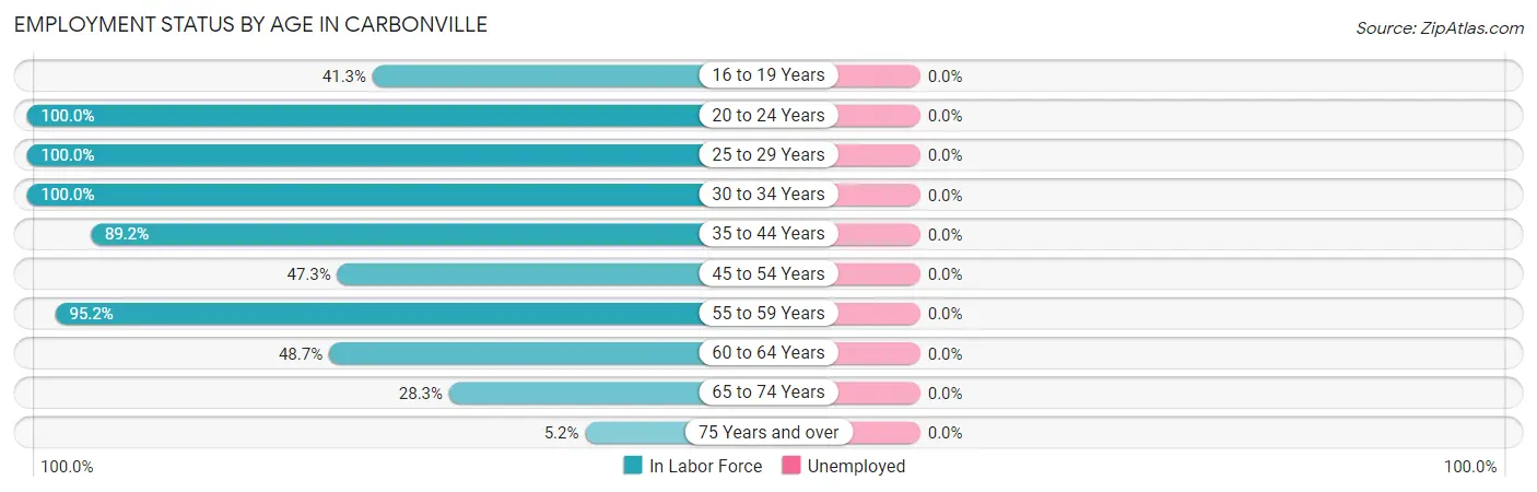 Employment Status by Age in Carbonville