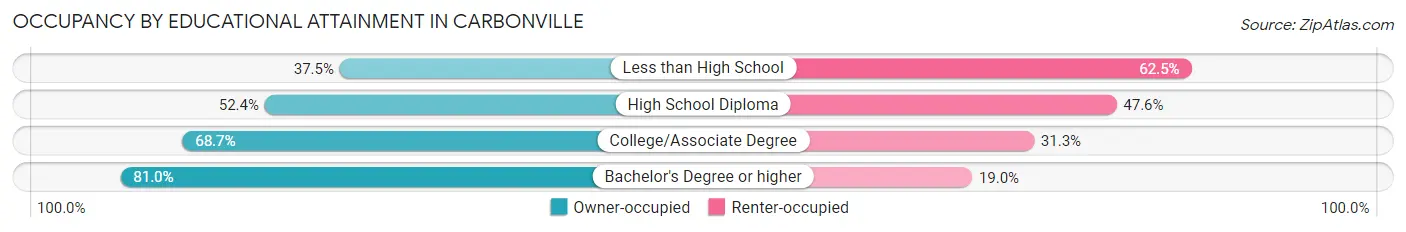 Occupancy by Educational Attainment in Carbonville