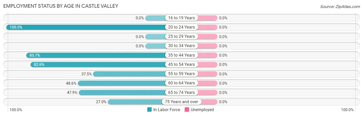 Employment Status by Age in Castle Valley
