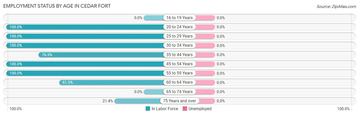 Employment Status by Age in Cedar Fort