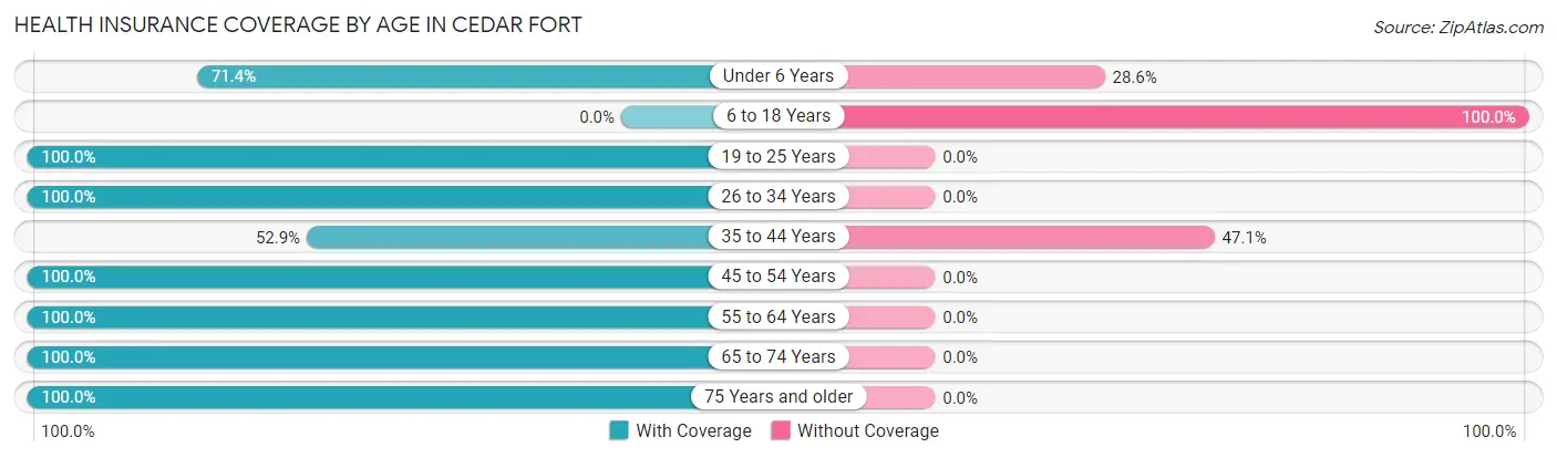Health Insurance Coverage by Age in Cedar Fort