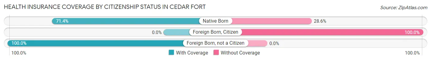 Health Insurance Coverage by Citizenship Status in Cedar Fort