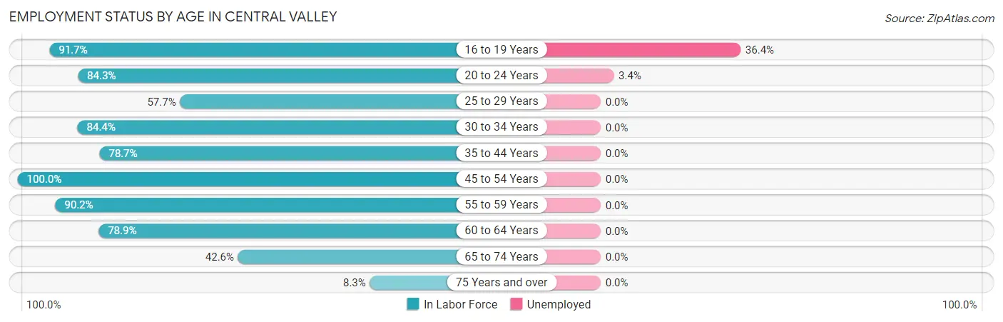 Employment Status by Age in Central Valley