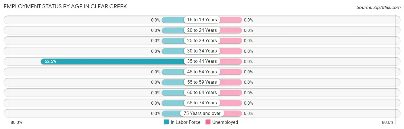 Employment Status by Age in Clear Creek