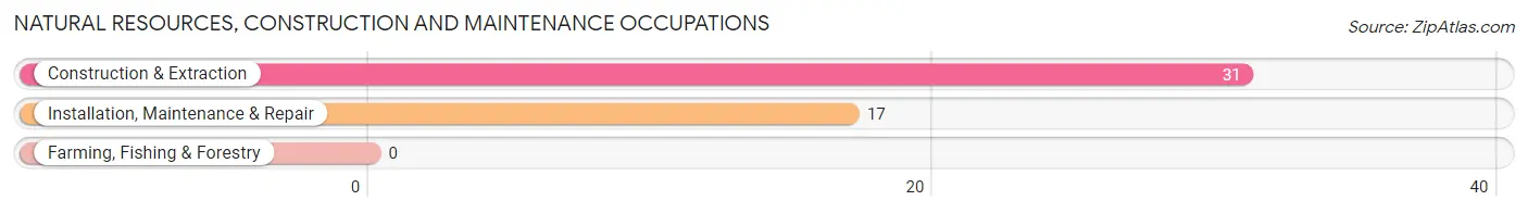 Natural Resources, Construction and Maintenance Occupations in Corinne