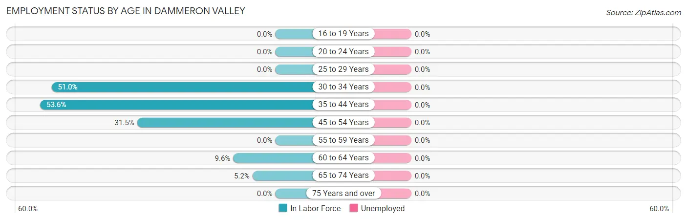 Employment Status by Age in Dammeron Valley