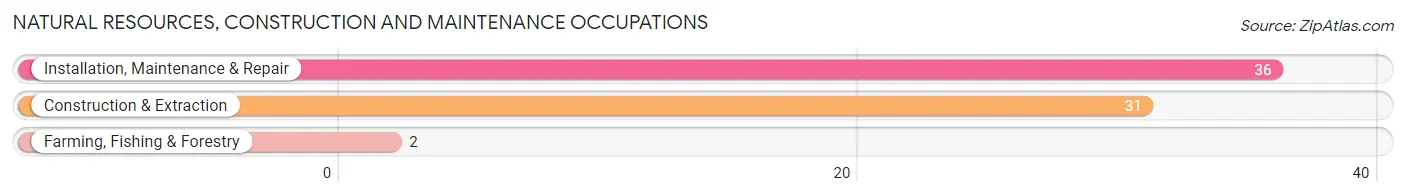 Natural Resources, Construction and Maintenance Occupations in Daniel