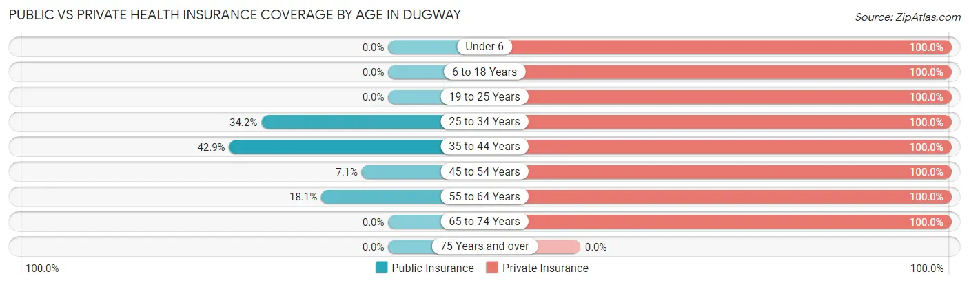 Public vs Private Health Insurance Coverage by Age in Dugway