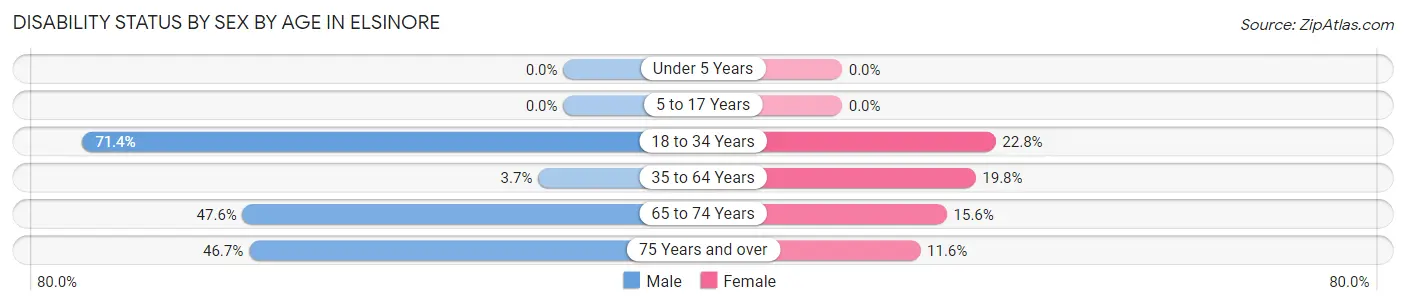 Disability Status by Sex by Age in Elsinore