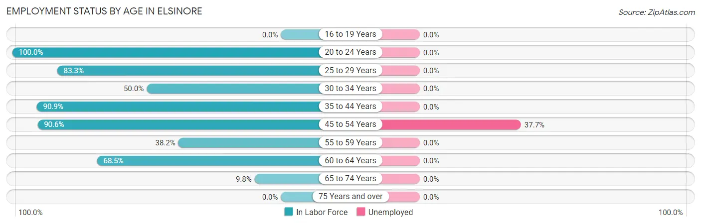 Employment Status by Age in Elsinore