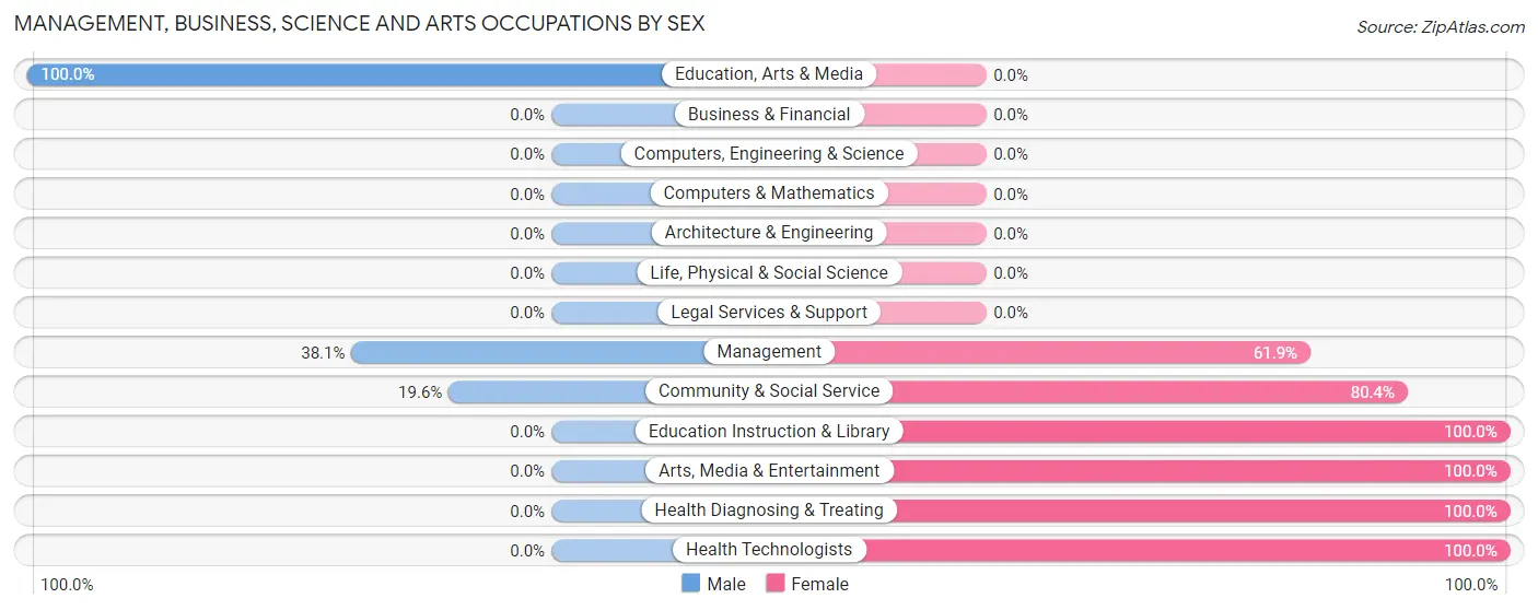 Management, Business, Science and Arts Occupations by Sex in Elsinore