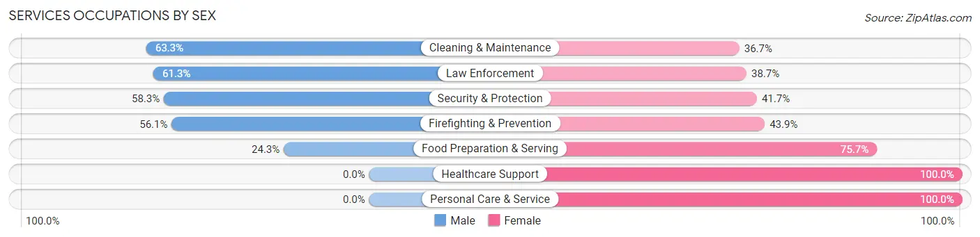 Services Occupations by Sex in Enoch