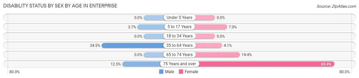 Disability Status by Sex by Age in Enterprise