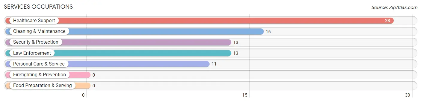 Services Occupations in Enterprise