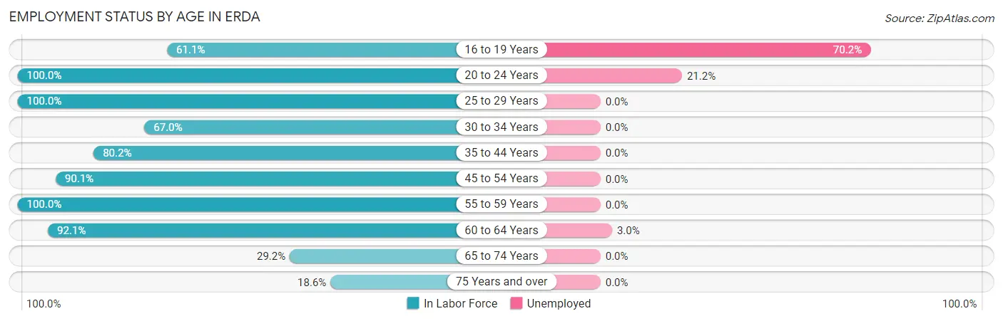 Employment Status by Age in Erda