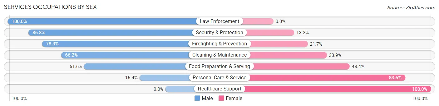 Services Occupations by Sex in Farr West