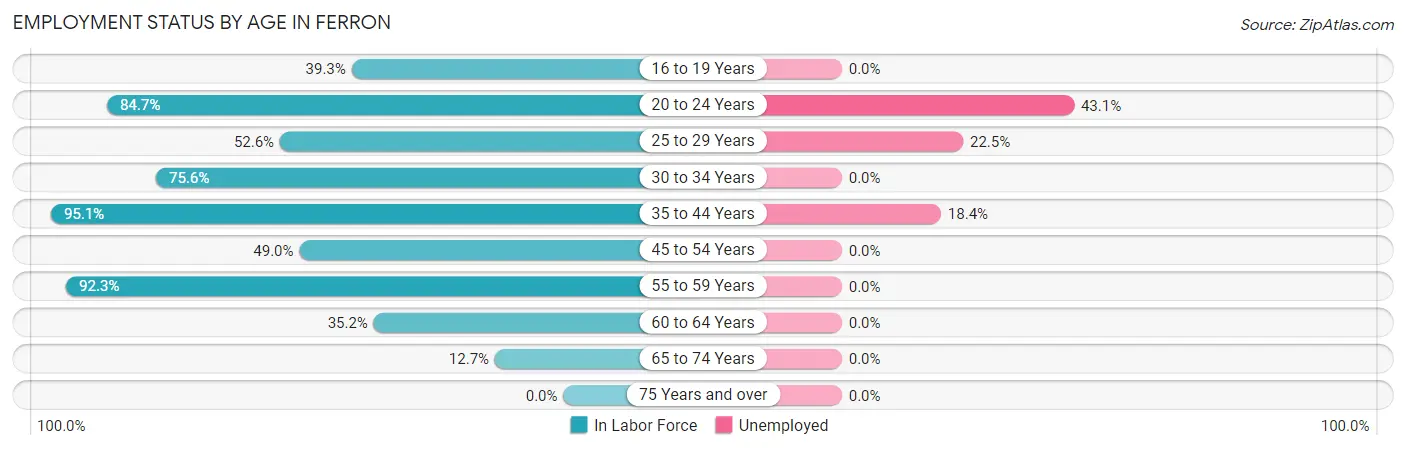 Employment Status by Age in Ferron