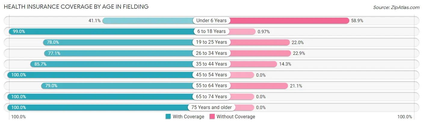 Health Insurance Coverage by Age in Fielding