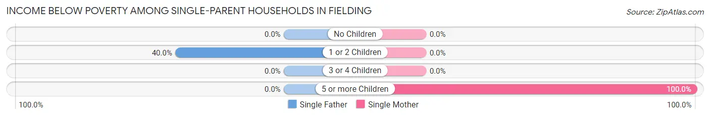 Income Below Poverty Among Single-Parent Households in Fielding