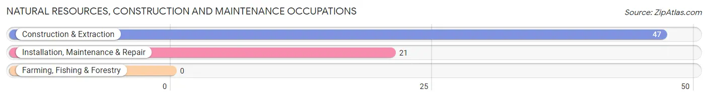 Natural Resources, Construction and Maintenance Occupations in Francis