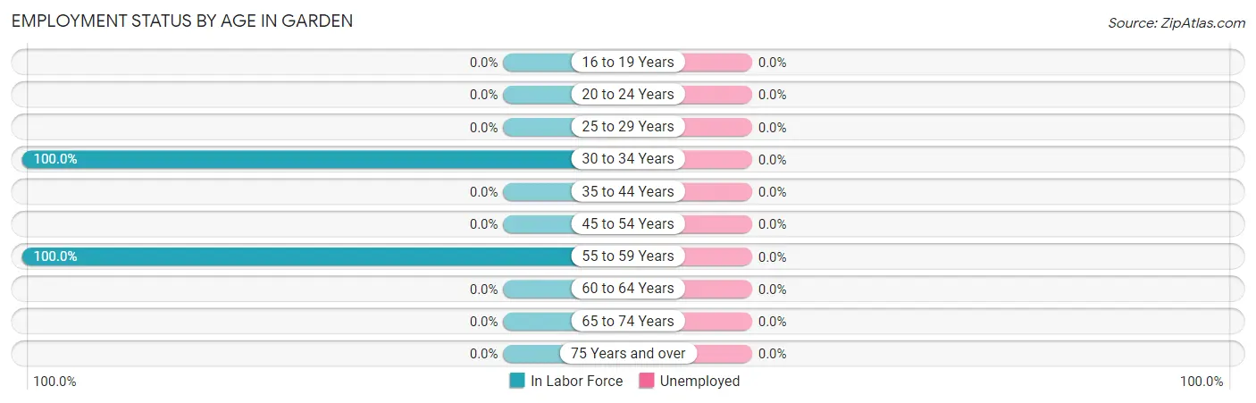 Employment Status by Age in Garden