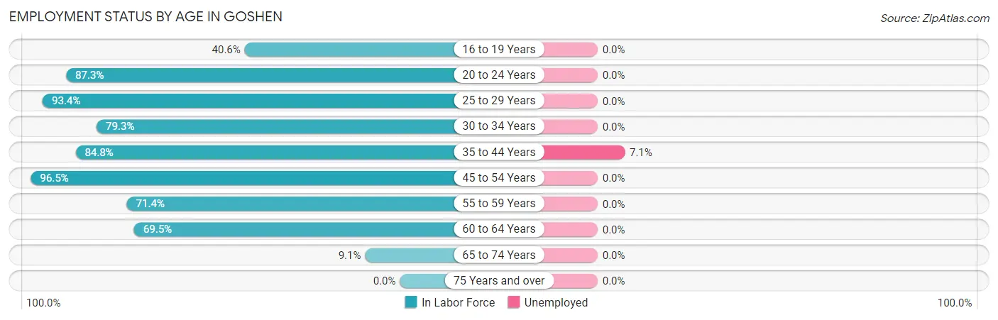 Employment Status by Age in Goshen