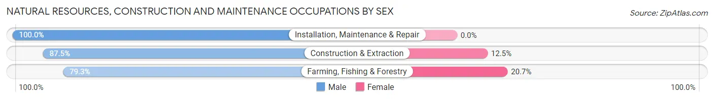 Natural Resources, Construction and Maintenance Occupations by Sex in Goshen