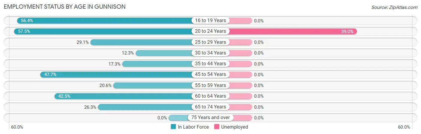 Employment Status by Age in Gunnison